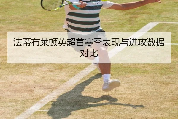 法蒂布莱顿英超首赛季表现与进攻数据对比